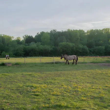 Semesterbostad Les Bougrines - Marais *