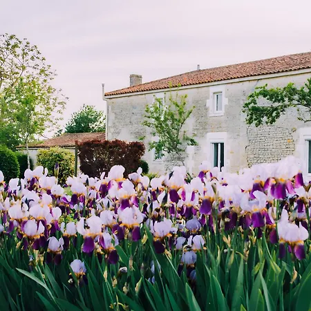 Les Bougrines - Marais Semesterbostad