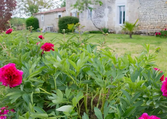 Les Bougrines - Marais בית נופש