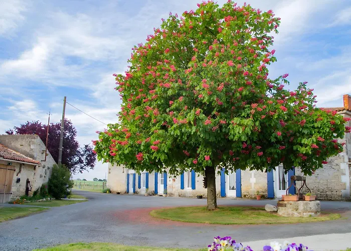 Les Bougrines - Marais בית נופש *
