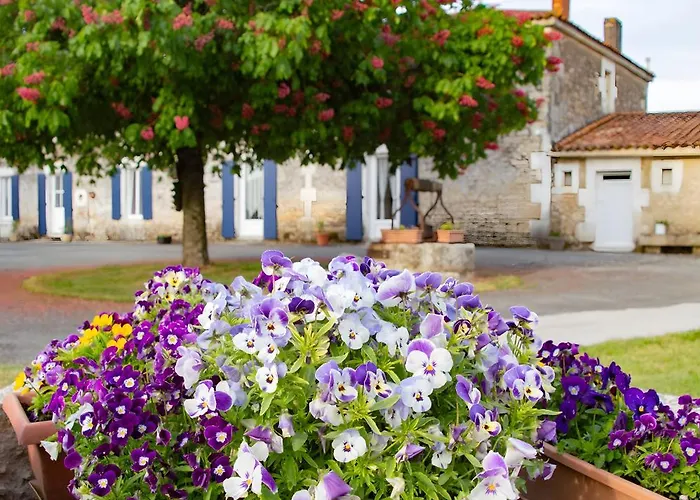 Les Bougrines - Marais בית נופש