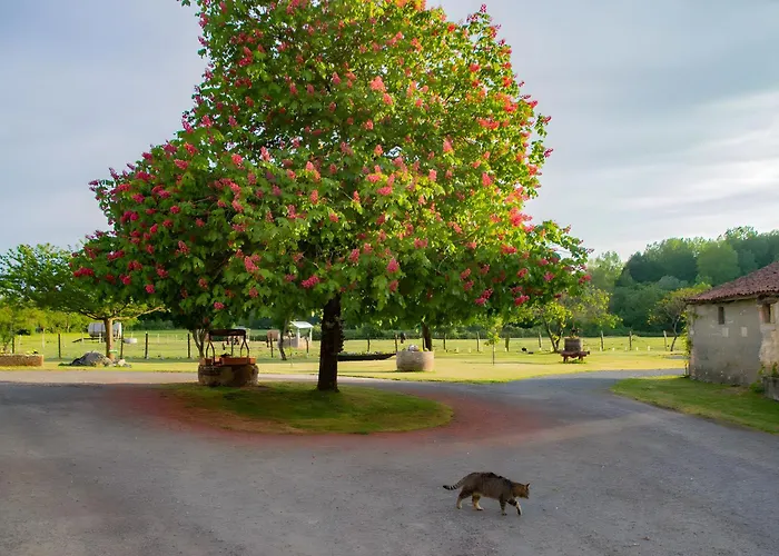 Les Bougrines - Marais בית נופש *