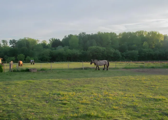 בית נופש Les Bougrines - Marais *