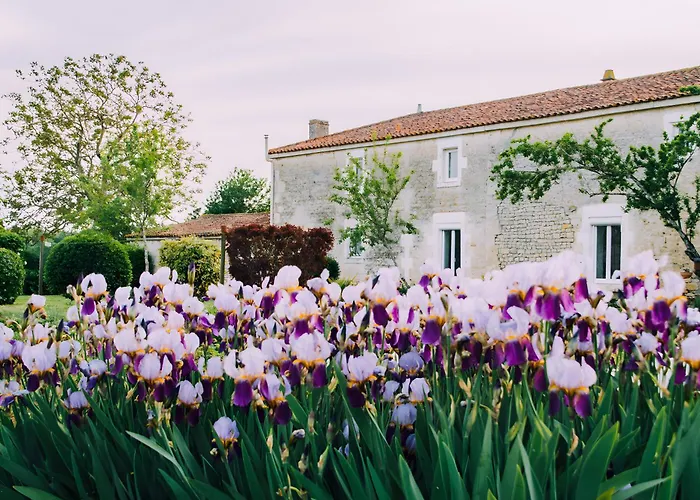 Les Bougrines - Marais בית נופש