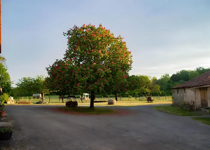 Les Bougrines - Marais בית נופש Fontaines (Pays de la Loire)